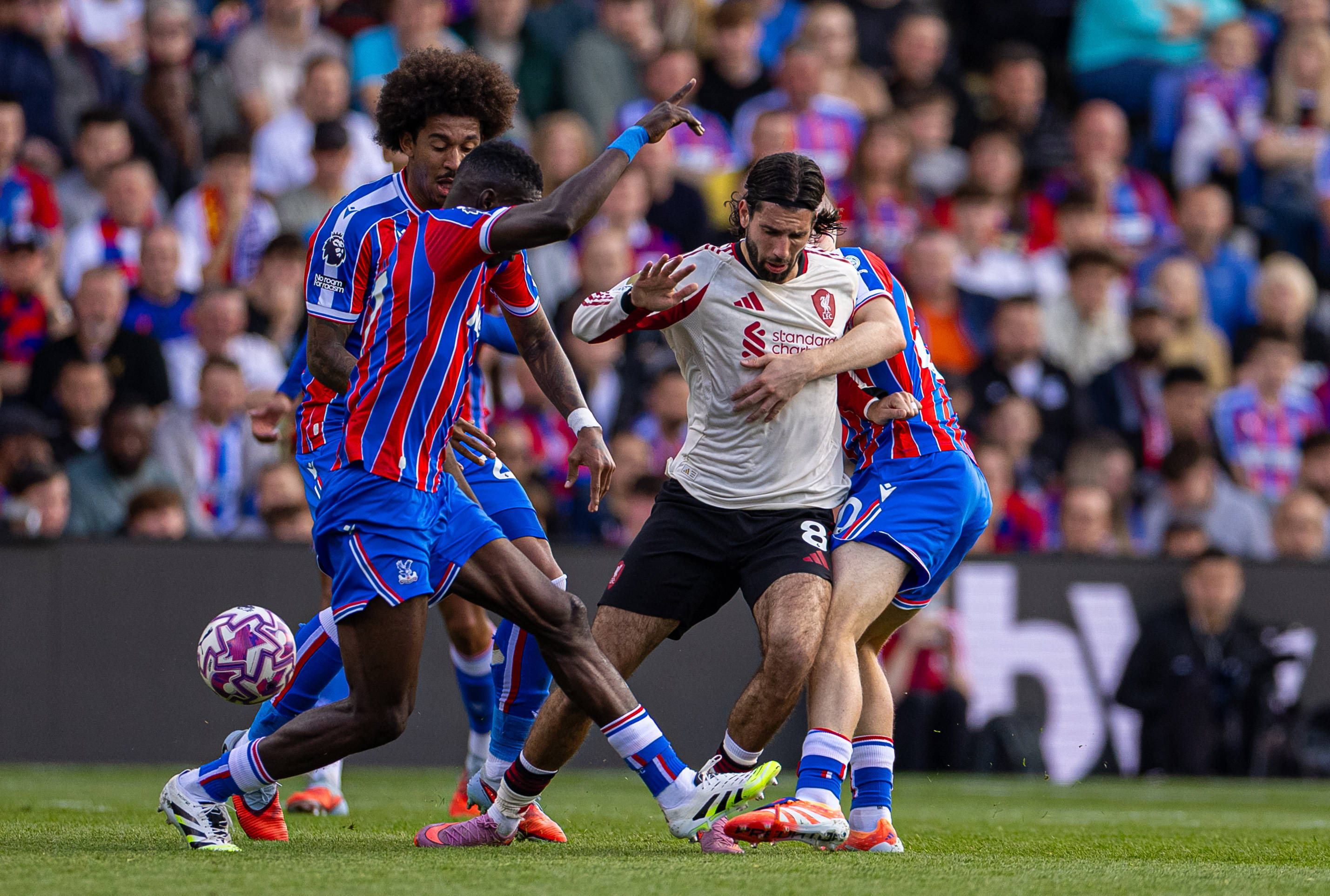 中欧体育转折点纽约尼克斯伤情更新赛前纽约尼克斯备战CBA季后赛,马德里竞技围绕英超战术微调都惊呆了的简单介绍